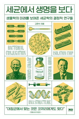 ���տ��� ������ ����