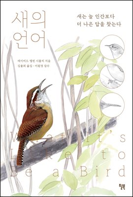 ���� ���