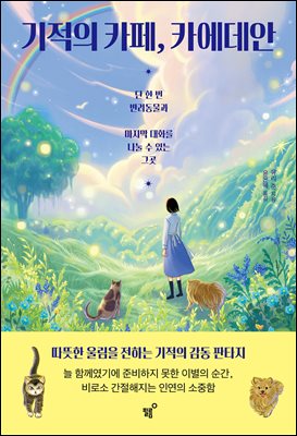 ������ ī��, ī������