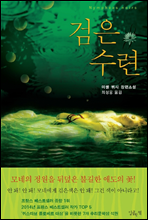 ���� ����