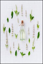 �������� ������ �ڵ��