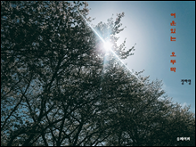 ���� �ִ� ���θ�