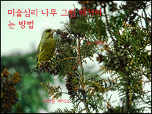 �̼��ɸ� �����׸� �ؼ��ϴ� ���